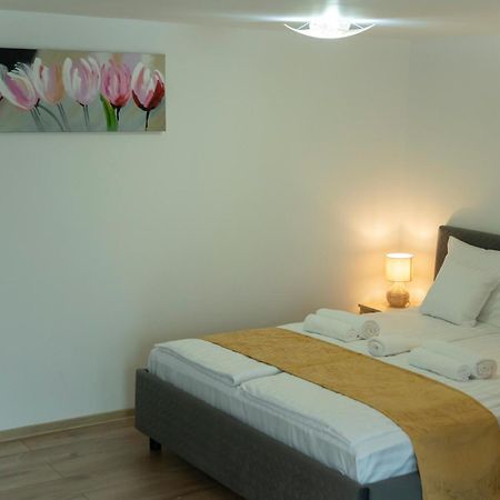 Magda Garden Hotel Cîrţişoara Eksteriør billede