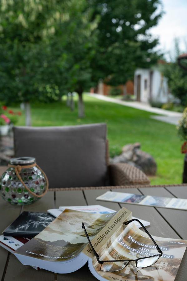Magda Garden Hotel Cîrţişoara Eksteriør billede