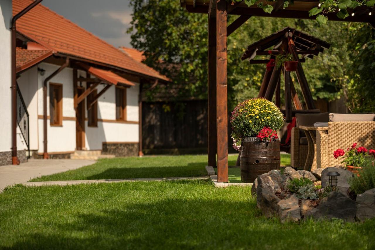 Magda Garden Hotel Cîrţişoara Eksteriør billede