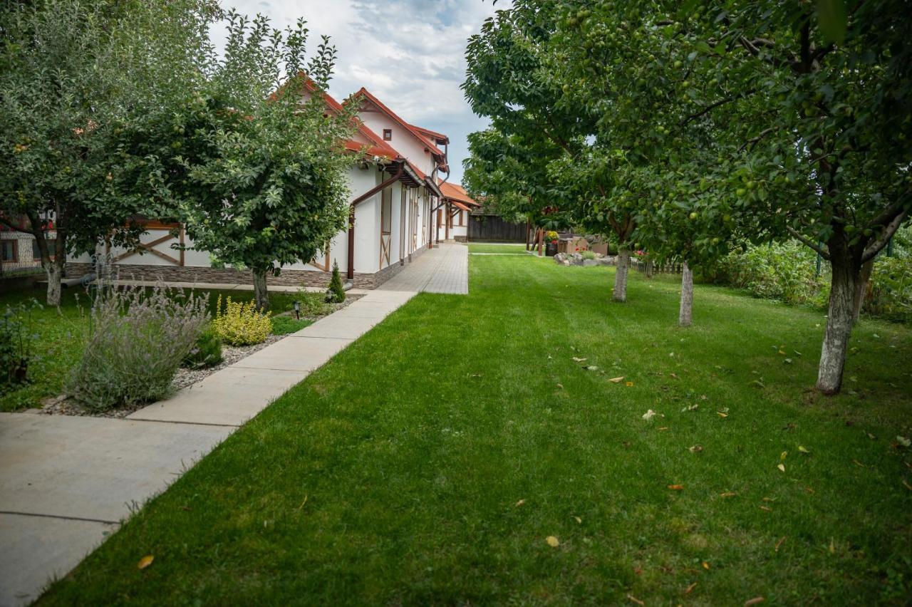 Magda Garden Hotel Cîrţişoara Eksteriør billede