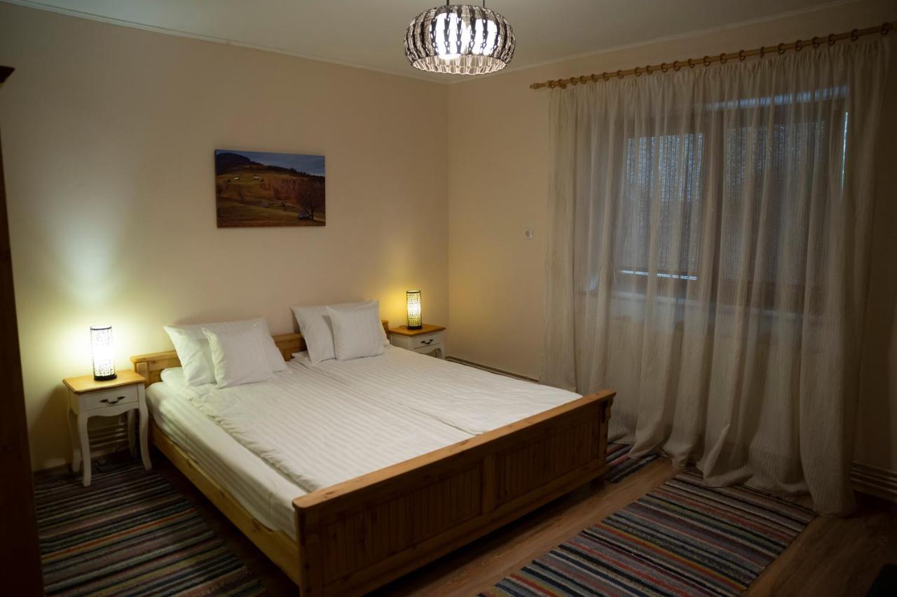 Magda Garden Hotel Cîrţişoara Eksteriør billede