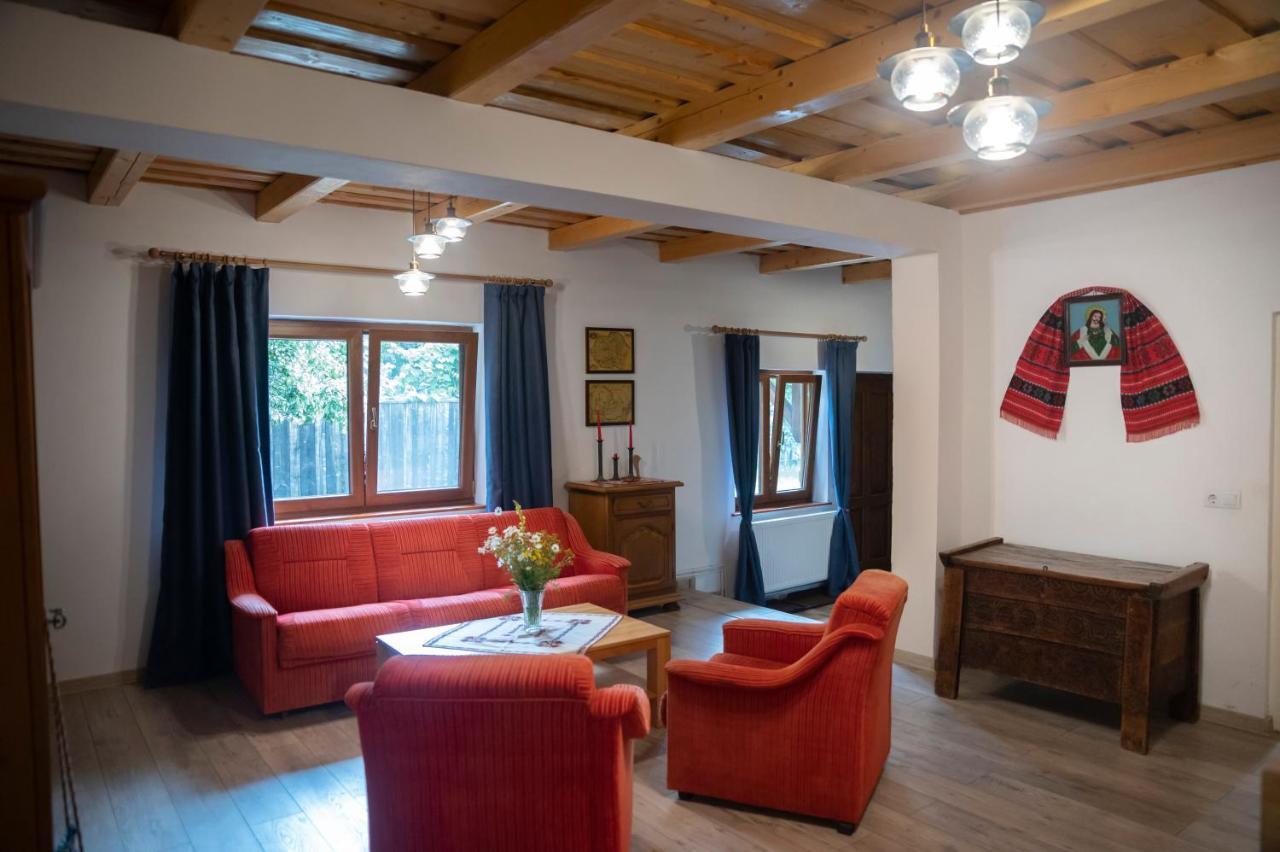 Magda Garden Hotel Cîrţişoara Eksteriør billede
