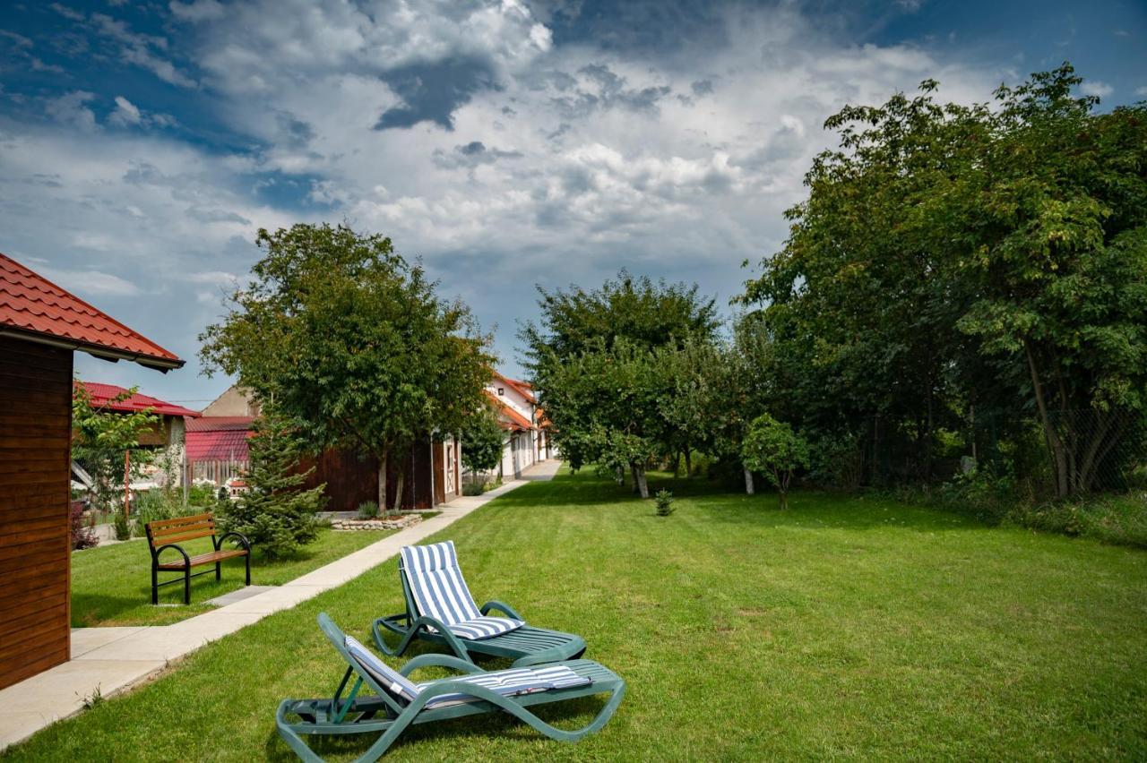 Magda Garden Hotel Cîrţişoara Eksteriør billede