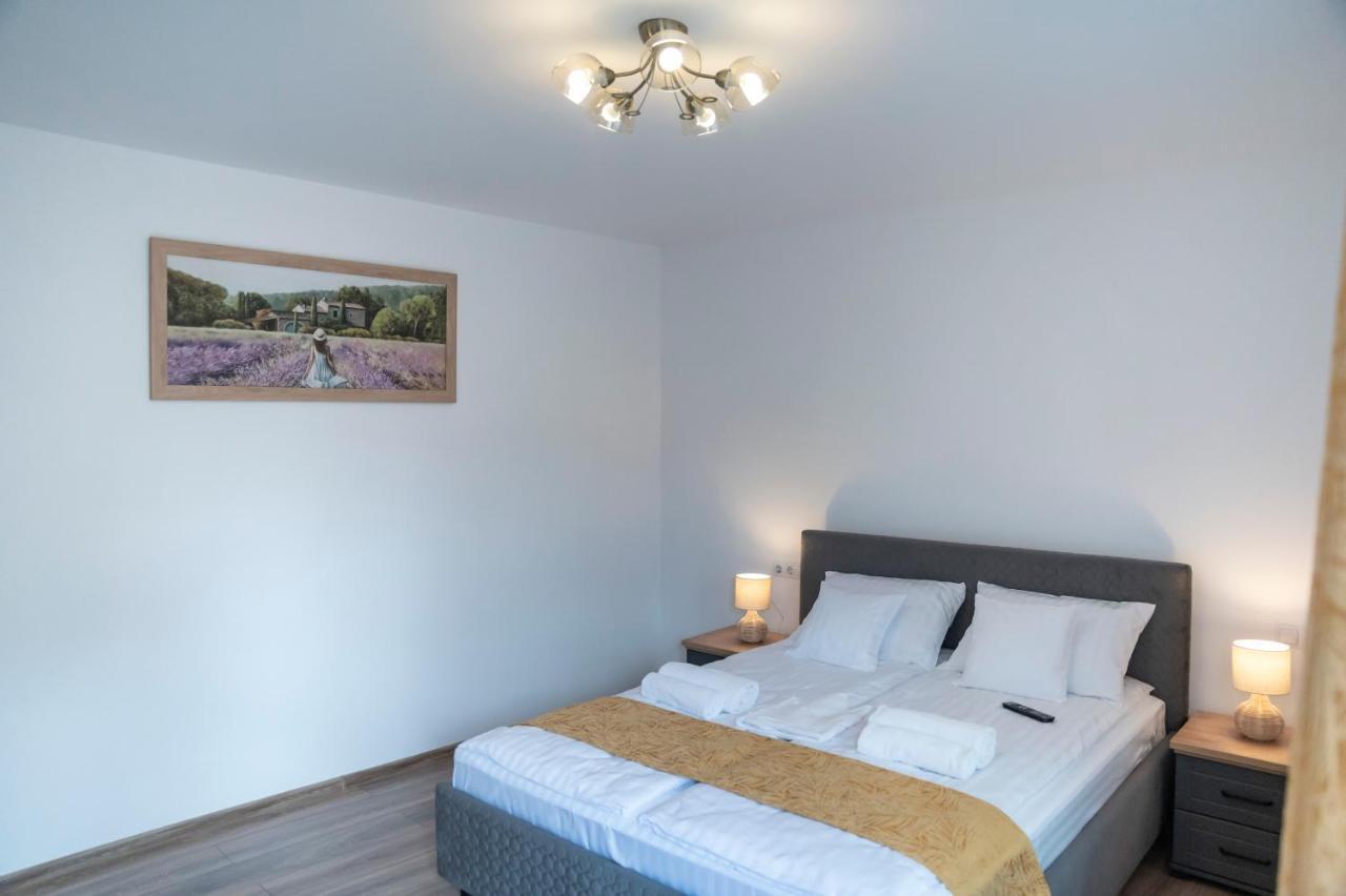 Magda Garden Hotel Cîrţişoara Eksteriør billede