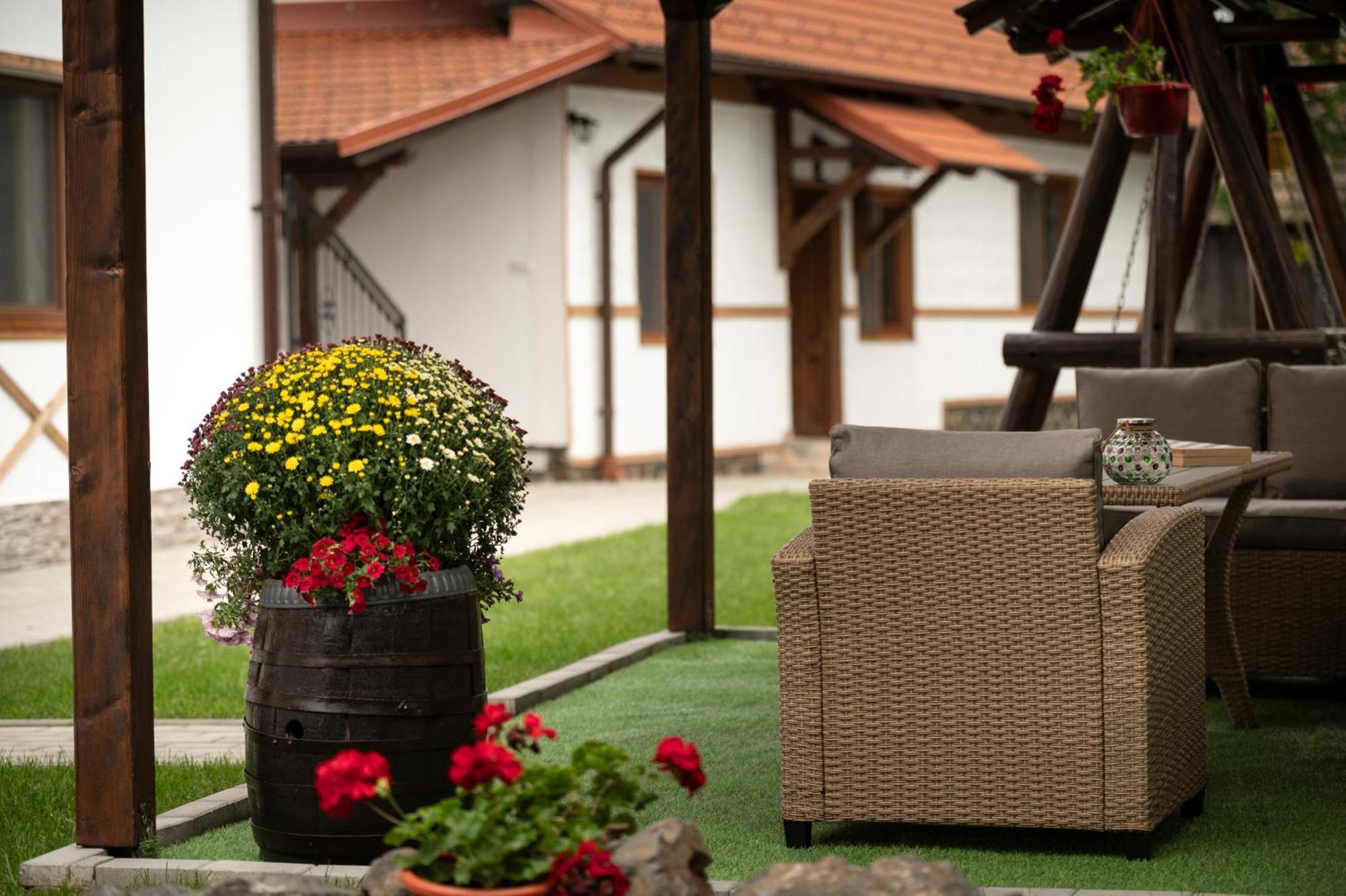 Magda Garden Hotel Cîrţişoara Eksteriør billede