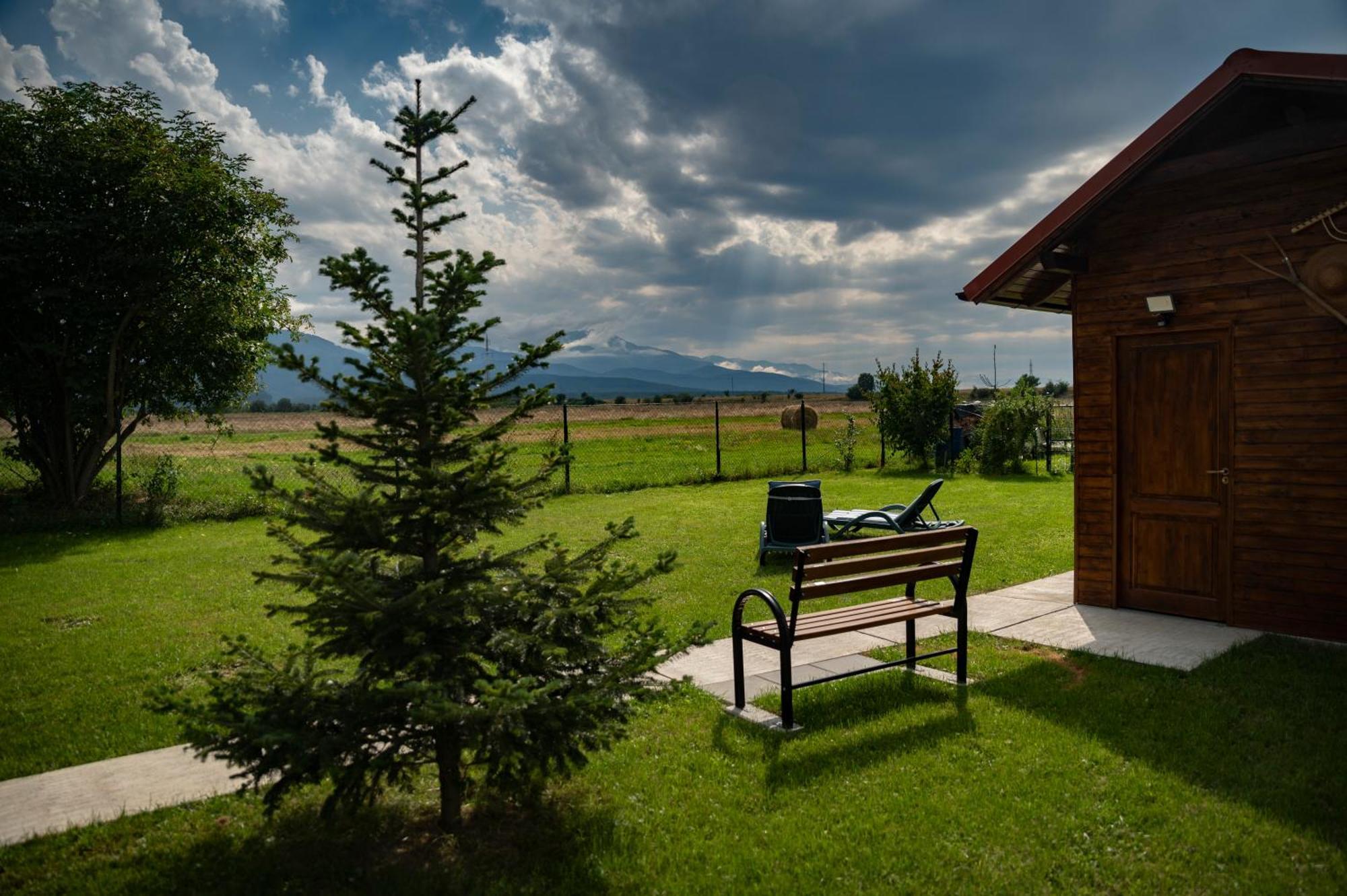 Magda Garden Hotel Cîrţişoara Eksteriør billede